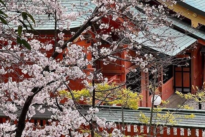 Hiroshima Local guided Hiking Tour&Open-air Tea Ceremony — photo 19