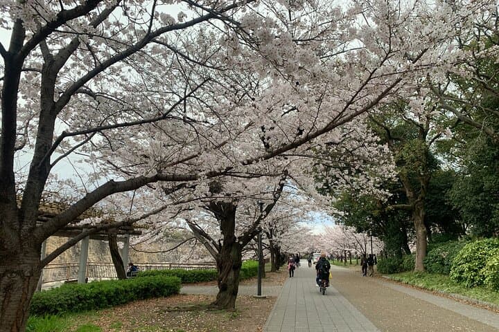 Osaka Highlights: 4Hrs Guided Walking Tour with a Native Expert — photo 5