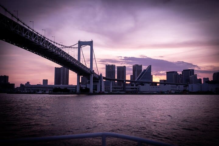 2 Hours Private Cruising Boat Tour;Tokyo Bay & River — photo 12