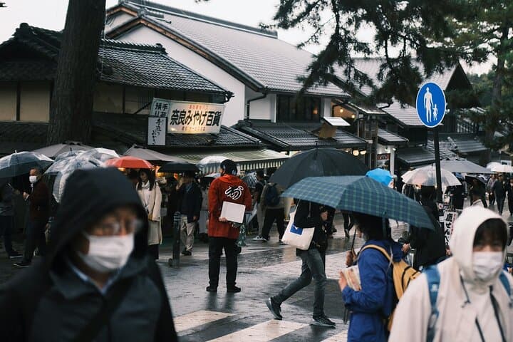 Nara Heritage Walkabout from Nara Park to Todaji Temple — photo 5