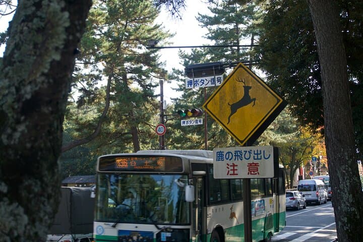 Nara Heritage Walkabout from Nara Park to Todaji Temple — photo 6