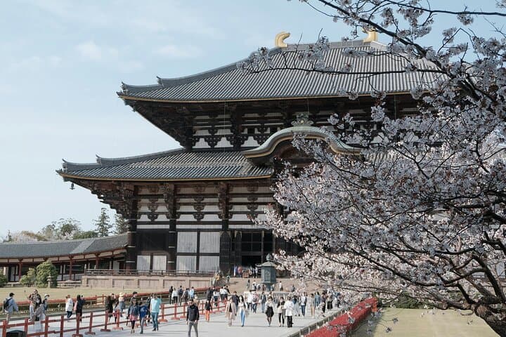 Nara Heritage Walkabout from Nara Park to Todaji Temple — photo 7