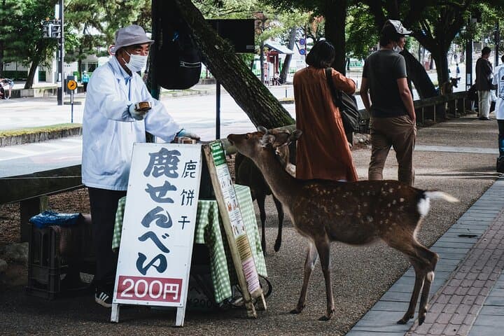 Nara Heritage Walkabout from Nara Park to Todaji Temple — photo 8