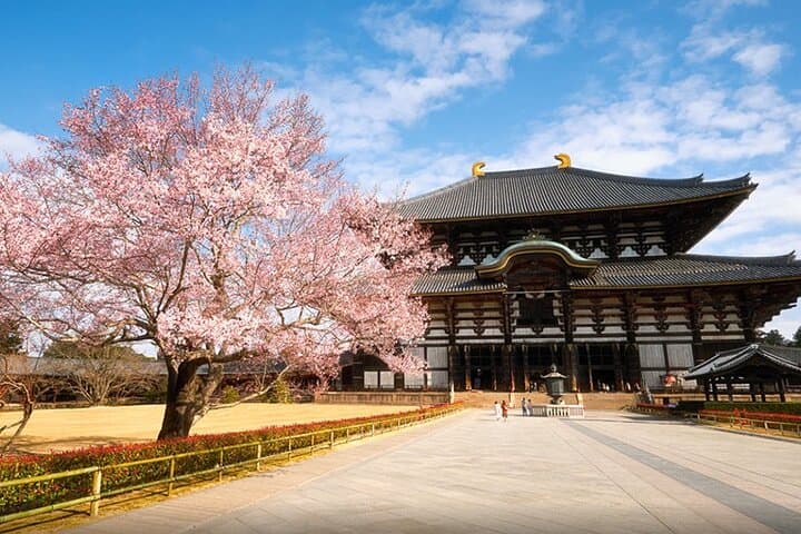 4 Days Private Customizable Tour in Osaka, Nara, Kyoto, Kobe — photo 10