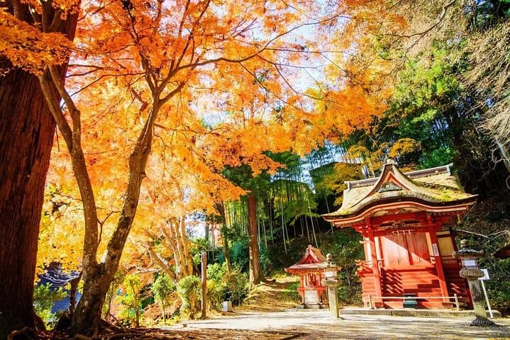 One Day Customizable car charter in Nara (No guide, 10hrs) — photo 8