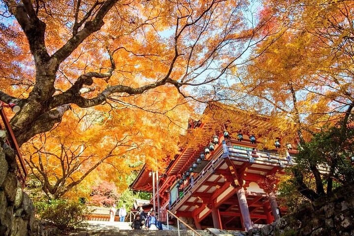 One Day Customizable car charter in Nara (No guide, 10hrs) — photo 7