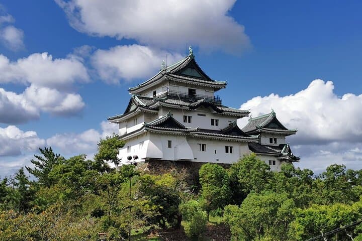 Private Customizable Tour in Wakayama — photo 2