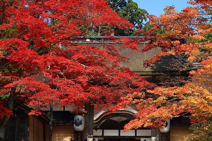 Private Customizable Tour in Wakayama — photo 7