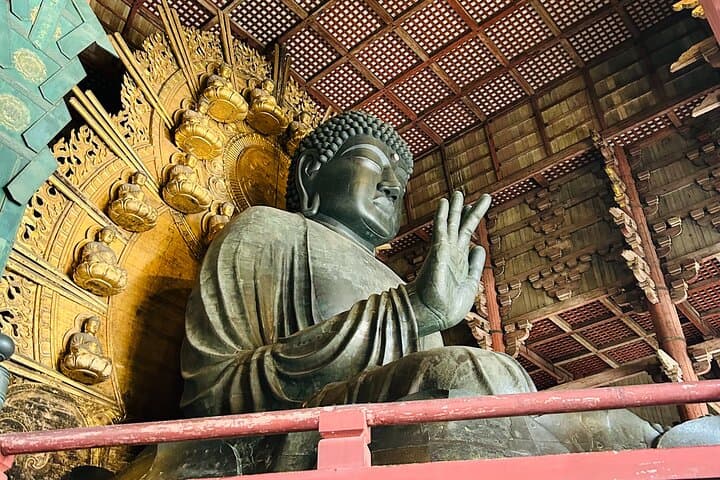 Nara Early Morning Tour (Kyoto or Osaka Departure Available) — photo 5