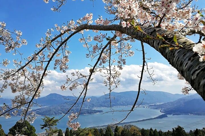 Amanohashidate Private Customizable Tour from Osaka or Kyoto — photo 4