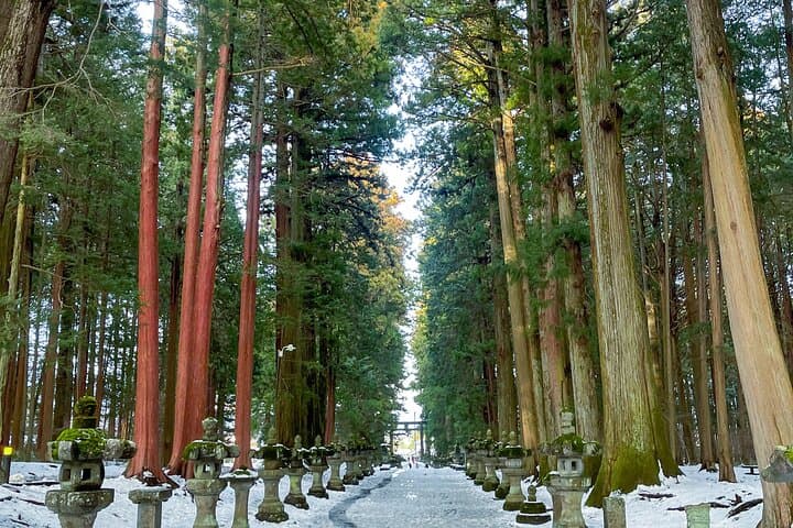 From Tokyo to Mount Fuji! Private Car Tour by Eng Speaking Driver — photo 2