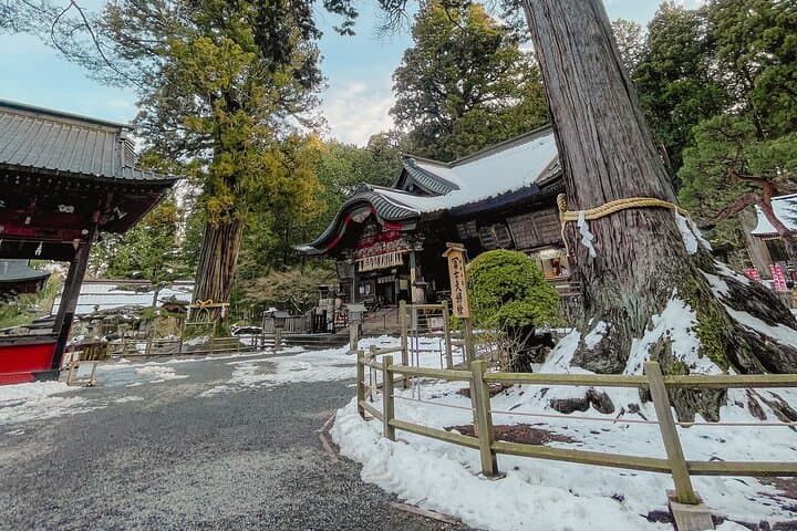 From Tokyo to Mount Fuji! Private Car Tour by Eng Speaking Driver — photo 12