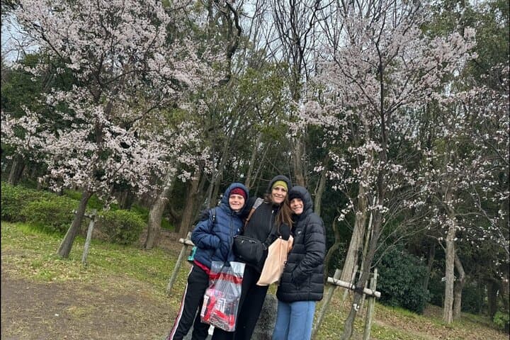 Kobe Guided Tour Including Port Area and Arima Onsen Town — photo 4