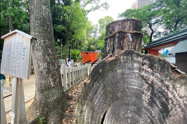 Kobe Guided Tour Including Port Area and Arima Onsen Town — photo 5
