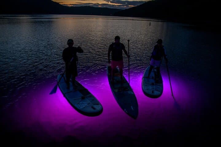 Sunset and Light Up Stand-Up Paddle with a Certified Guide — photo 3