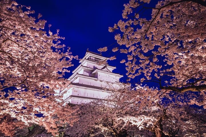 Private & Customizable Tokyo Tour (10 Hours) with English Driver — photo 4