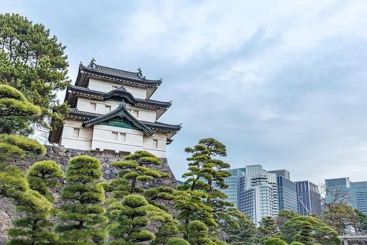 Private & Customizable Tokyo Tour (10 Hours) with English Driver — photo 9
