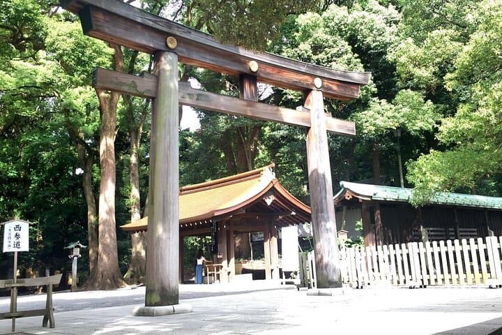 Private & Customizable Tokyo Tour (10 Hours) with English Driver — photo 11