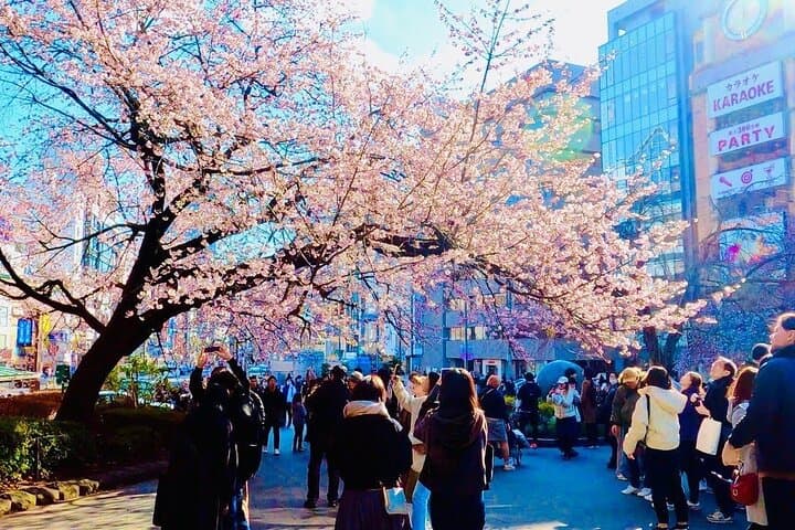 Private & Customizable Tokyo Tour (10 Hours) with English Driver — photo 14
