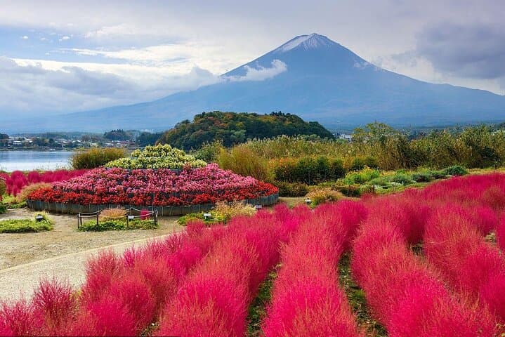 Private Customizable Tour in Mount Fuji — photo 9