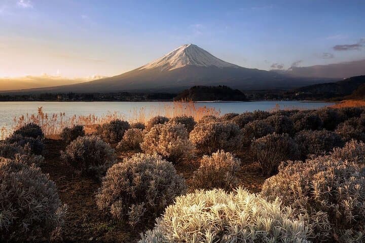 Private Customizable Tour in Mount Fuji — photo 10