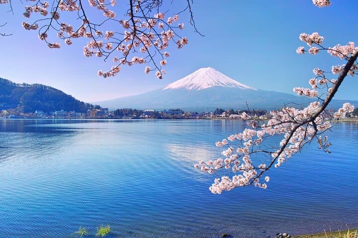Private Customizable Tour in Mount Fuji — photo 2
