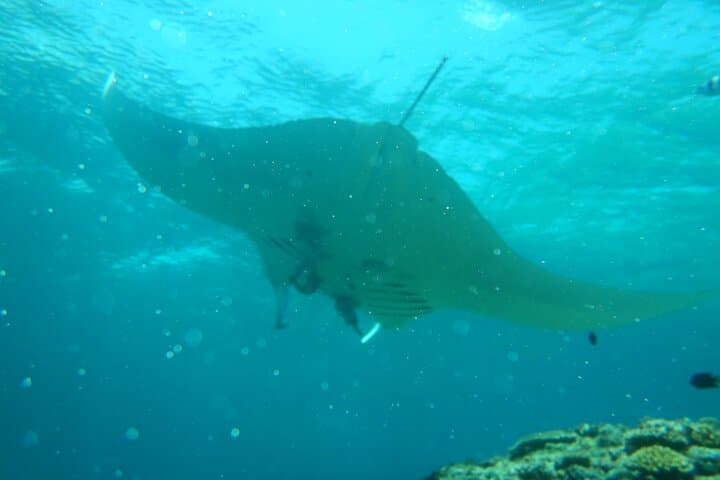 Private tour by water bike on Ishigaki Island — photo 15