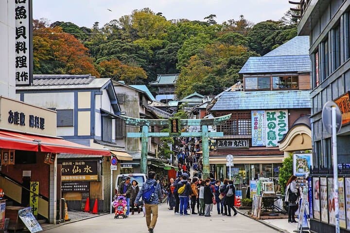 Private Customizable Tour in Kamakura — photo 16