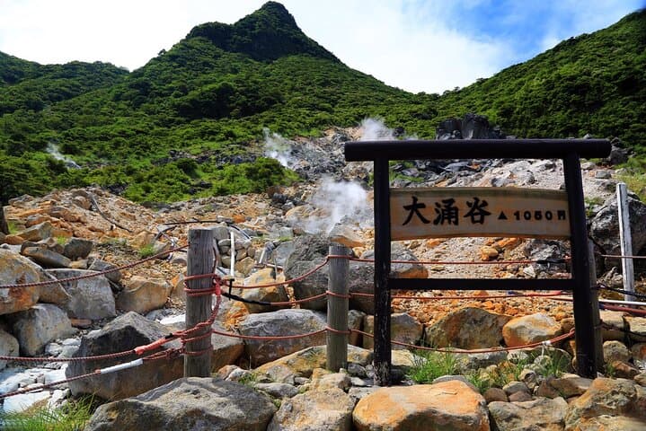 Private Customizable Tour in Hakone — photo 3