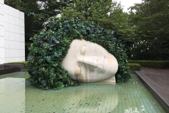 Private Customizable Tour in Hakone — photo 9