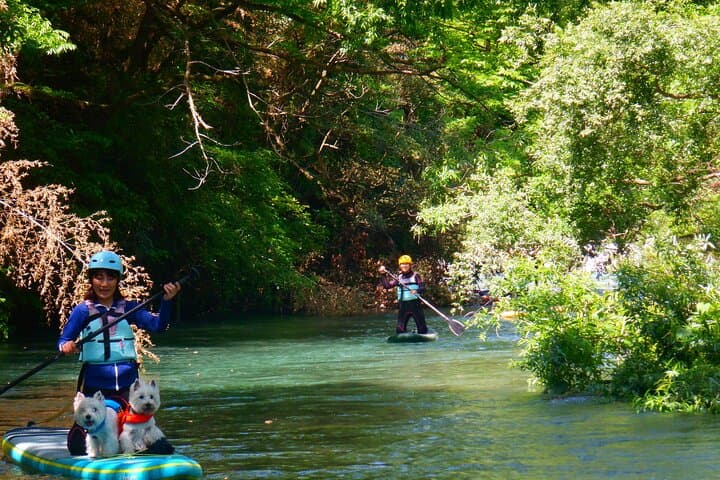 SUP downriver tour at Niyodo river — photo 3
