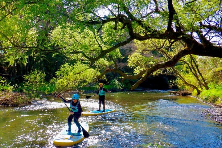 SUP downriver tour at Niyodo river — photo 9