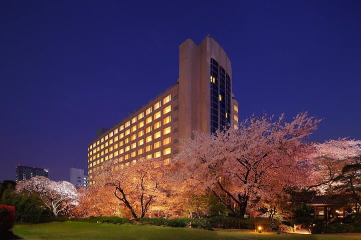 Tokyo, Shinkansen, Disneyland, Yokohama, City to City Transfer — photo 7