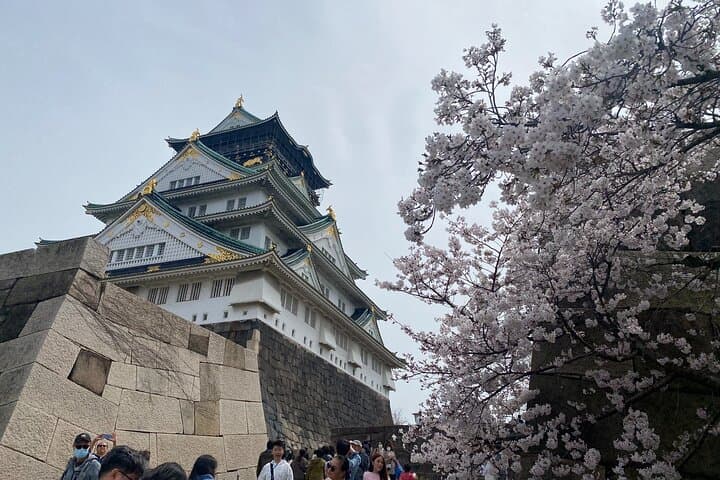 PRIVATE 6hr, Food tour from Osaka Castle, Kuromon, Dotonbori. — photo 10