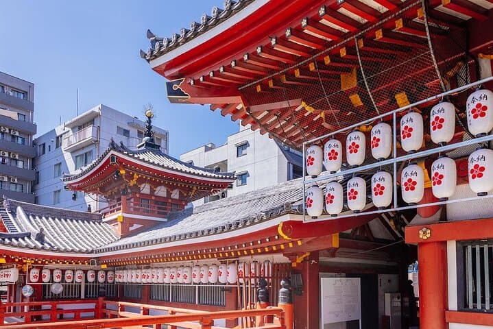 Private Customizable Tour Visit in Nagoya with Transfer Included — photo 7