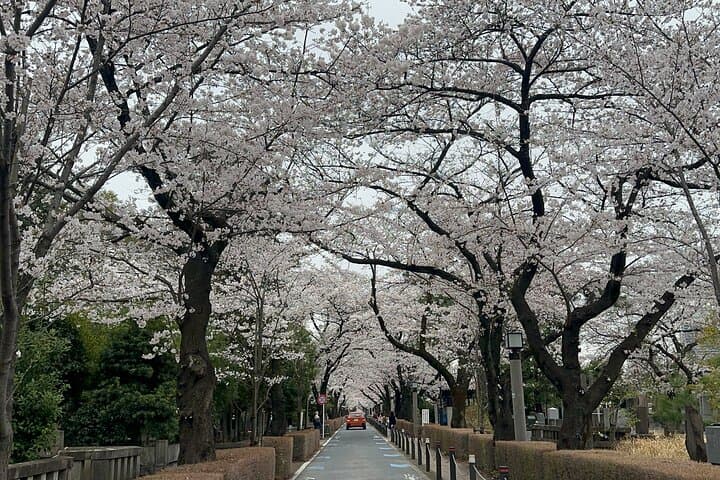 Private Tokyo Tour with Japanese Local Guide — photo 1