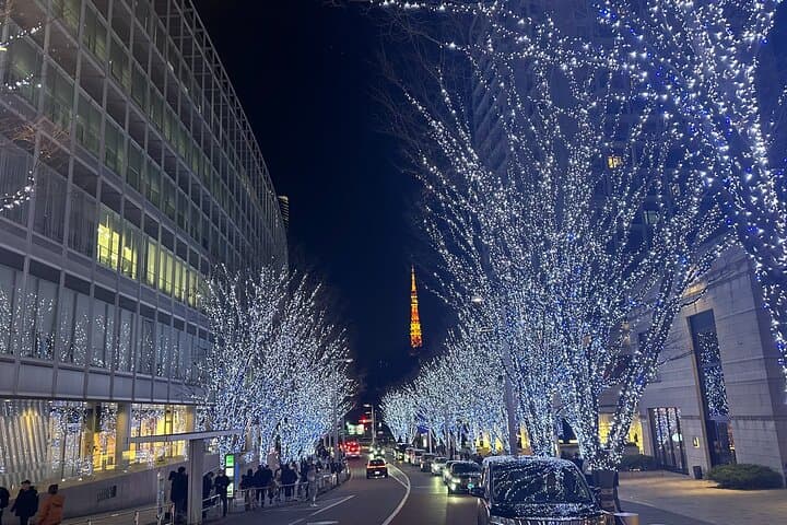 Private Tokyo Tour with Japanese Local Guide — photo 6