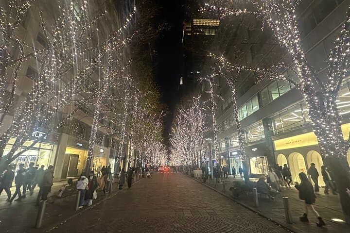 Private Tokyo Tour with Japanese Local Guide — photo 7