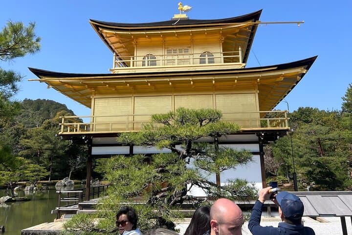 Kyoto: Golden Pavilion, Nijo Castle, Nishiki Market. Private — photo 5