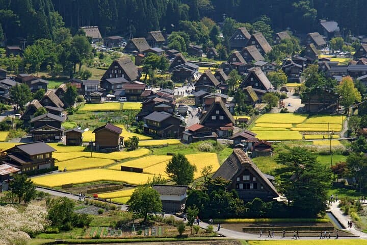 Private Sightseeing Tour to Shirakawago and Takayama from Nagoya — photo 3
