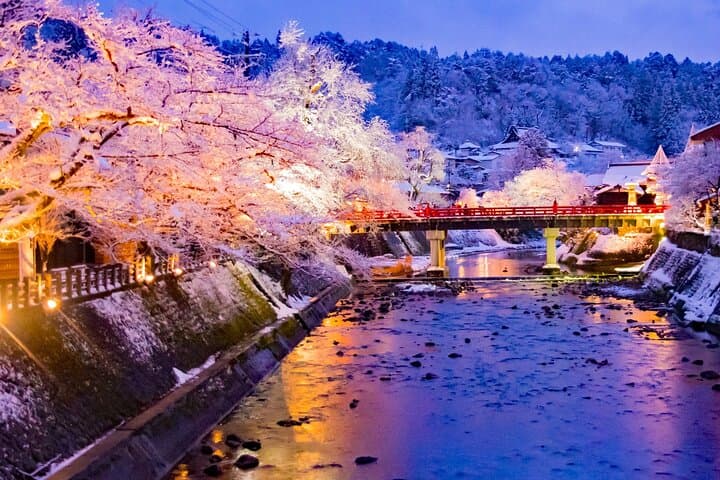 Private Sightseeing Tour to Shirakawago and Takayama from Nagoya — photo 7