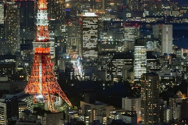 Tokyo in a Day : Private Tour to Shrine, Temples, Towers &Culture — photo 13