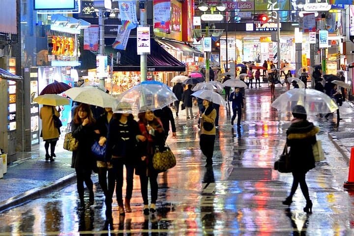 Tokyo in a Day : Private Tour to Shrine, Temples, Towers &Culture — photo 9