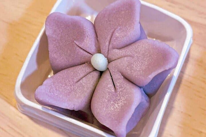 Licensed Guide "Wagashi" (Japanese Sweets) Experience Tour (Tokyo) — photo 12