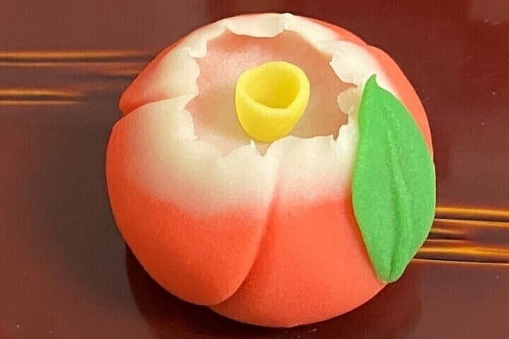 Licensed Guide "Wagashi" (Japanese Sweets) Experience Tour (Tokyo) — photo 16
