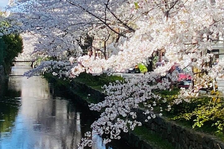 Bar Hopping Private Tour in Kyoto HANNARI area — photo 19