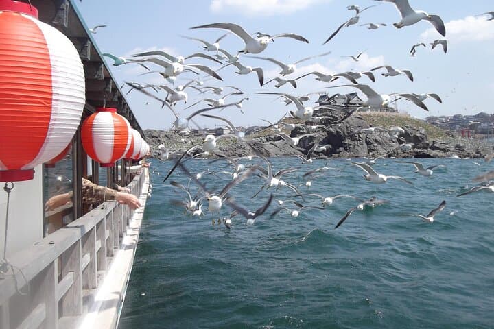 Public Hachinohe Yakata Boat Inner Harbor Tour — photo 5