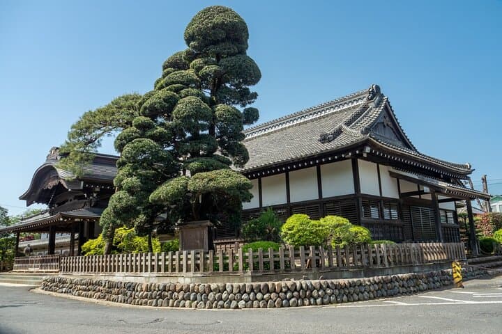 Kawagoe Sightseeing and Experience Tour to Harvest Local Foods — photo 5