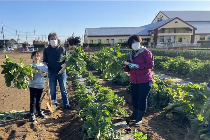 Kawagoe Sightseeing and Experience Tour to Harvest Local Foods — photo 10