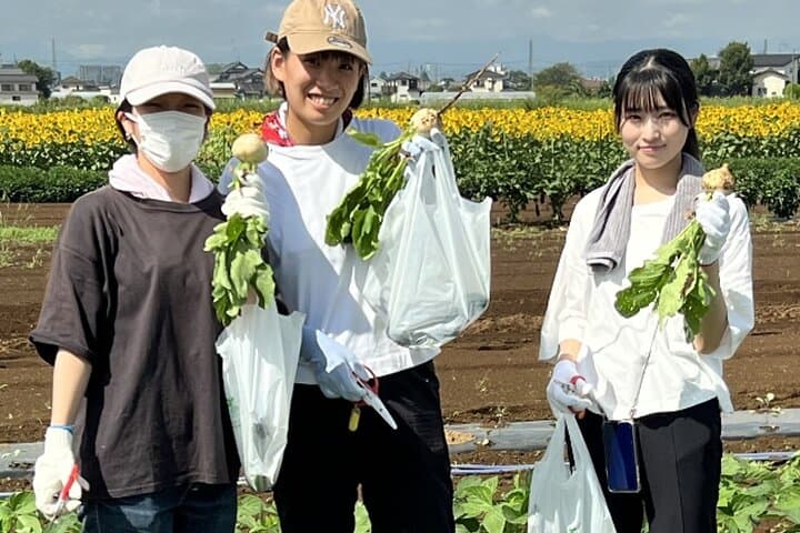 Kawagoe Sightseeing and Experience Tour to Harvest Local Foods — photo 9